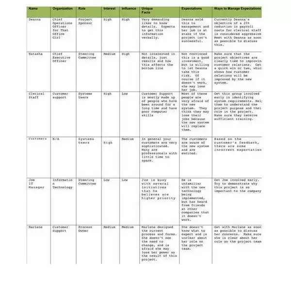 Stakeholder Analysis in strategy management assignment help